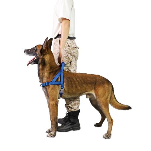 S-ETOVUS No Pull Dog Harness, Reflective Puppy Harness with Soft Padded Handle, Escape Proof/Quick Fit Adjustable Pet Harness for Small Medium Large Dogs, Easy for Training Walking (Blue, S)