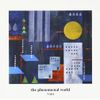 The Phenomenal World