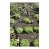 Karcher Particle Filter with Reducer for Garden Irrigation System