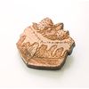[Wood tch] Walnut Tree Brooch Sponge Cake (Shortcake), Brass Wood