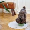 HUNTER Osby Ceramic Bowl Khaki Colour 550 ml