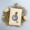 Bothy Threads Counted Cross Stitch Kit - Peek-a-Boo