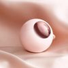 Mini Lint Roller Round Lint Roller Portable Lint Roller for Pet Clothes Sofa Carpet Bed (Pink)