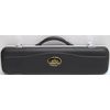 Sky Flute ABS C foot Flute Hard Case