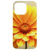 Hülle für iPhone 15 Pro Max Oktober Ringelblume Einzelblumenmalerei