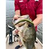 YUM Dinger Bulk 30-Pack - Morning Dawn - 5"