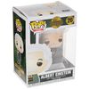 Funko Pop!: AD Icons - Albert Einstein