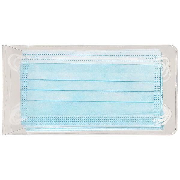 EICHNER Aufbewahrungstasche transparent mit 5 Gesichtsmasken