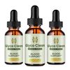 Glyco Clean Blood Support Advanced Formula Dietary Supplement Serum - (Pack 3)