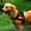 No Pull Adjustable Dog Pet Soft Vest Harness Collar Quality Nylon MEDIUM RED