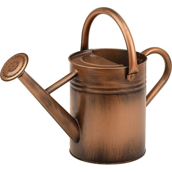 SunnyTong Metal Watering Can for Outdoor and Indoor Plants, Watering Can Decor, 1 Gallon (1 Gallon Copper)