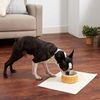 Petio Dog Dinnerware Porta Wood Grain Ceramic Dinnerware Medium