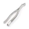 OdontoMed2011® GERMAN GRADE EXTRACTING FORCEPS # 88R DENTAL INSTRUMENTS EXTRACTION FORCEPS ODM