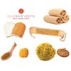 Cellulite Massage & Circulation Brush by Spa Destinations"Creating The At Home Spa Experience"