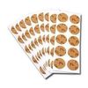 300 Petit Silma Replacement Plaster Sheets