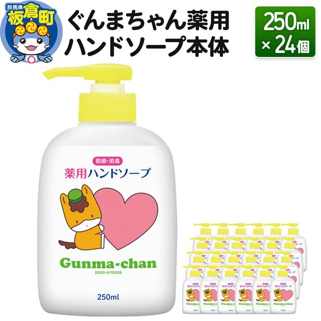 [Hometown tax] Gunma-chan medicated hand soap body (250ml) x 24 pieces