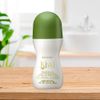 Zermat, Deodorant Women and Men, Kiwi, Roll-On Deodorant for Both, 24 h Antiperspirant, 2.82 Oz.