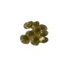 REGIMINT Peppermint Oil Plus Caraway Enteric Caps. IBS (4 Bottles)