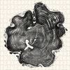 Princeton Architectural Press Woodcut: Three Puzzles
