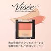 Visee Riche Red Trick Icon Sealer Eye Concealer Bear Cover 1.7g
