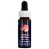 Flower Essence Services California Wild Rose Dropper Herbal Supplements, 0.25 Ounce