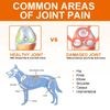 Glucosamine Chondroitin MSM for Dogs, Hip and Joint Support