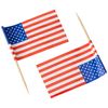 Classic Flag Picks | USA Theme And Design Party Accessories | 30ct