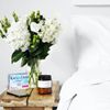 Luvbiotics Advanced Dental Hygiene with Probiotics Cherry Lozenges