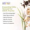 Aura Cacia Cypress Essential Oil | GC/MS Tested for Purity | 15ml (0.5 fl. oz.)