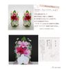 Phalaenopsis Denfare Dome Versus Design SET (Clear Pink)