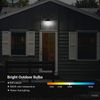 DEWENWILS 4-Pack Outdoor Automatic On/Off, Outdoor A19 Light Bulbs, 5000K