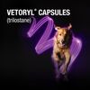 Vetoryl® Capsules (trilostane), 20-mg, 30 Capsules