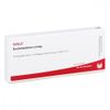 Endometrium comp. ampoules 10 x 1 ml