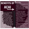 Antioxidant Water Filter System - Acai Berry Extract 1200mg 2B - Acai Extract