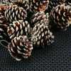 24Pieces Christmas Pine Cones Ornament Natural PineCones With String Pendant