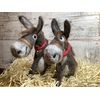 Dinky Donkey Needle Felting Kit