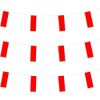 amscan 3 m Pride Passion Party Pol Bunting Small Flag Accessory