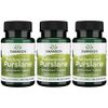 Swanson Full Spectrum Purslane 400 Milligrams 60 Veg Capsules (3 Pack)