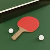 Table Tennis Balls White without Print – Pack of 12