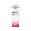 DHU Cardiospermum ø Urtinktur, 20 ml Lösung