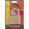 Burg Wächter 222 60 C-Line 60 mm Padlock