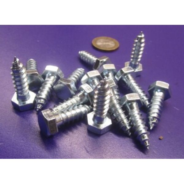Zinc Hex Head Lag Screw 1/2 Hex Size 5/16 Thread x 1.00" Length, 100 pcs