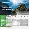 High Strength Vegan Omega 3 Capsules - 1500mg - 600mg DHA and 300mg EPA per Daily dose of 3 Capsules - 90 Omega 3 Vegan - from Sustainable Plant-Based Algae Oil
