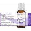 Essential Oil Set 3 - 10 ml. 100% Pure Natural Lavender Peppermint Eucalyptus