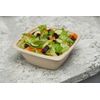 300 Pack - Compostable Square Container Eco Friendly Bowls 42 Oz.