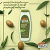 Palmers Olive Oil Smoothing Shampoo (1 x 400 ml)