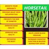 BLOOD PRESSURE & CIRCULATION SUPPORT HEALTHY CHOLESTEROL  ARTERY CLEANSE PROTECT