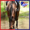Equine America Horse Electrolytes Energy Peformance Paste