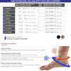 Champion Ankle Support, Figure-8 Style, Knit Elastic, Small