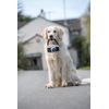 Petface Retro Camera Plush Dog Toy